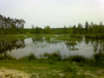 Перерісль
